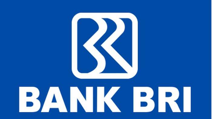 Persyaratan Gadai BPKB Motor di Bank BRI